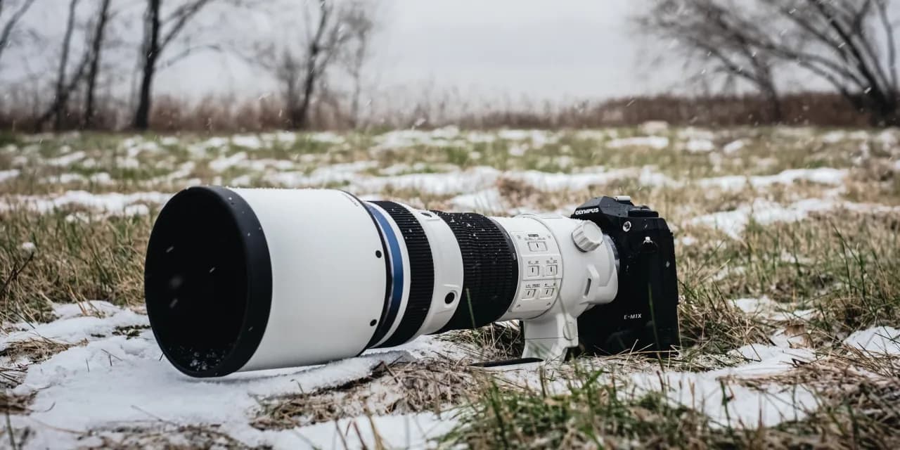 Jaki obiektyw do portretów Olympus – najlepsze wybory dla Ciebie